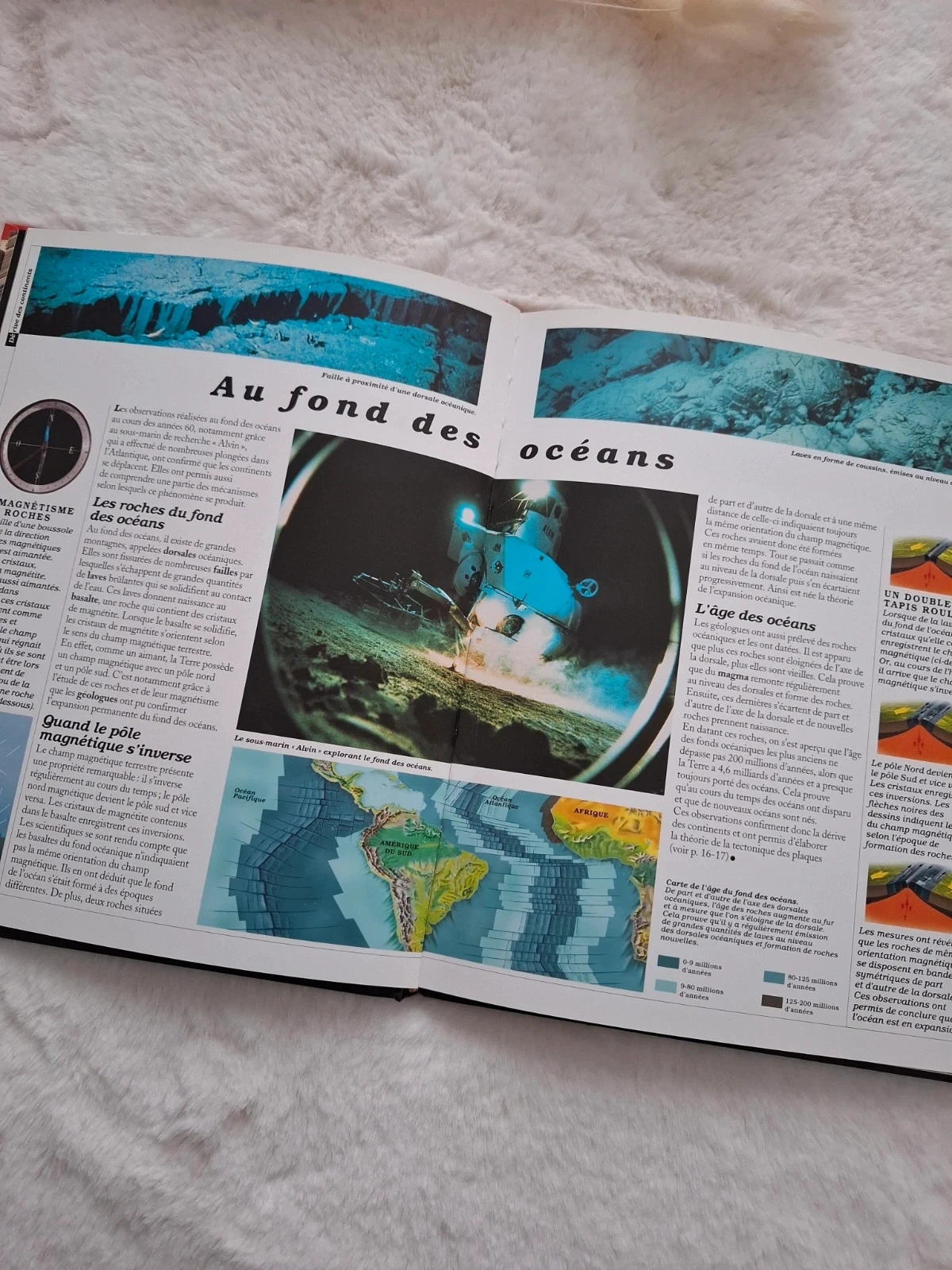 📚 planeta terra a enciclopédia dos jovens Larousse – photo 9